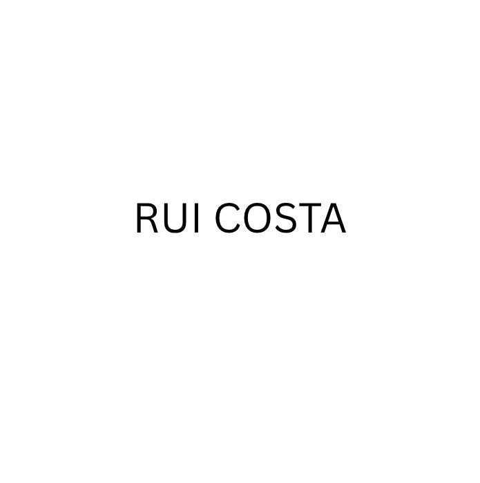 RUI COSTA GREY